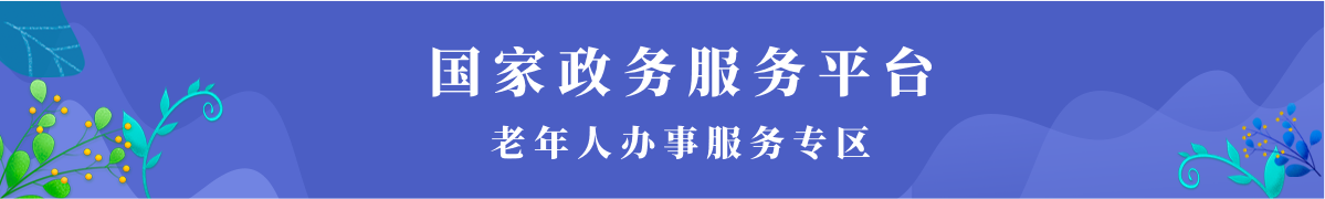 国家政务服务平台老年人办事服务专区