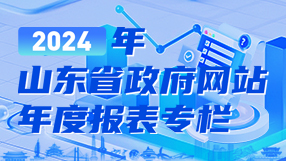 2024年政府网站年度报表